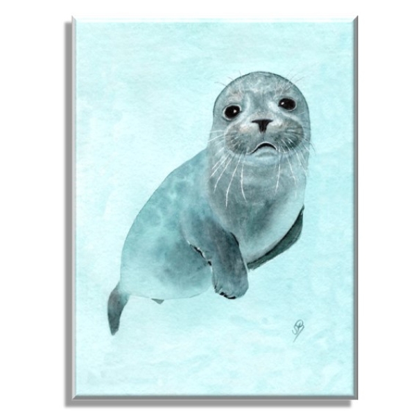 Leinwand 40 x 30 cm Keilrahmen Canvas-Leinen kleiner Seehund DK25